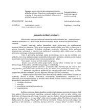 Komandinio darbo privalumai 4 puslapis