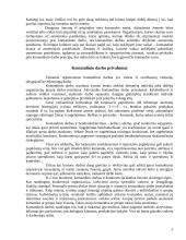 Komandinio darbo privalumai 5 puslapis