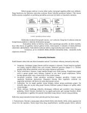 Komandinio darbo privalumai 7 puslapis