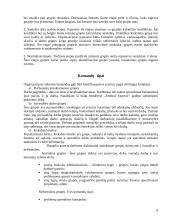 Komandinio darbo privalumai 8 puslapis