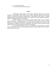 Komandinio darbo privalumai 9 puslapis