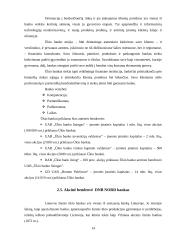 Komercinių bankų veikla 13 puslapis