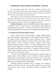 Komerciniai bankai: steigimas ir licencijavimas 3 puslapis