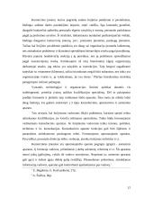 Komercinių įmonių valdymo ypatumai 12 puslapis