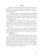 Komercinių įmonių valdymo ypatumai 16 puslapis