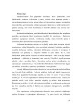 Komercinių įmonių valdymo ypatumai 18 puslapis