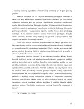 Komercinių įmonių valdymo ypatumai 20 puslapis