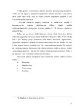 Komercinių įmonių valdymo ypatumai 6 puslapis