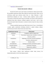 Komercinių įmonių valdymo ypatumai 7 puslapis