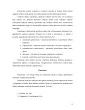 Komercinių įmonių valdymo ypatumai 8 puslapis