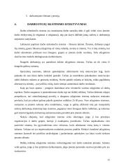 Kompensavimas už darbą ir darbo apmokėjimo principai 12 puslapis