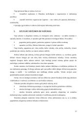 Kompensavimas už darbą ir darbo apmokėjimo principai 13 puslapis