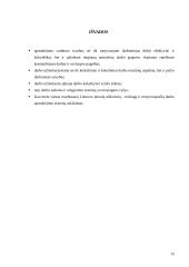 Kompensavimas už darbą ir darbo apmokėjimo principai 15 puslapis