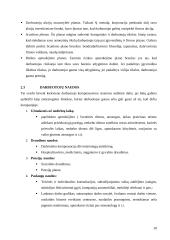 Kompensavimas už darbą ir darbo apmokėjimo principai 10 puslapis