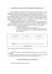 Kompetencija 6 puslapis