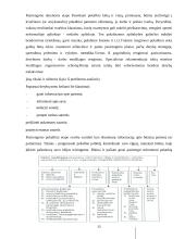 Komunikacija ir derybos 11 puslapis