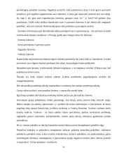 Komunikacija ir derybos 12 puslapis