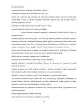 Komunikacija ir derybos 13 puslapis