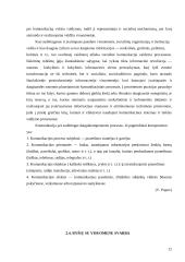 Komunikacijų vaidmuo organizacijos veikloje 13 puslapis