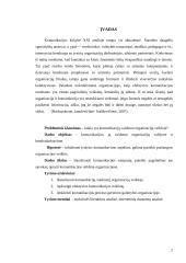 Komunikacijų vaidmuo organizacijos veikloje 3 puslapis