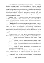 Komunikacinis procesas marketinge. Rėmimo kompleksas 5 puslapis