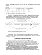 Komunikavimo svarba organizacijoje: UAB "Vilpra" 7 puslapis