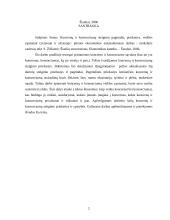 Koncernų ir konsorciumų steigimo pagrindai, priežastys, veiklos ypatumai Lietuvoje ir užsienyje 2 puslapis