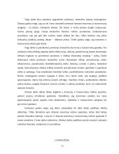 Koncernų ir konsorciumų steigimo pagrindai, priežastys, veiklos ypatumai Lietuvoje ir užsienyje 13 puslapis