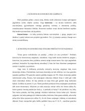 Koncernų ir konsorciumų steigimo pagrindai, priežastys, veiklos ypatumai Lietuvoje ir užsienyje 5 puslapis