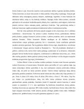 Koncernų ir konsorciumų steigimo pagrindai, priežastys, veiklos ypatumai Lietuvoje ir užsienyje 7 puslapis