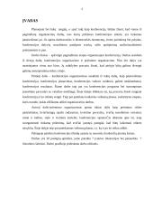 Konferencijos organizavimo etapai 2 puslapis