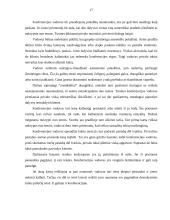 Konferencijos organizavimo etapai 17 puslapis