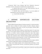 Konferencijos organizavimo etapai 19 puslapis