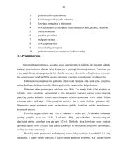 Konferencijos organizavimo etapai 20 puslapis