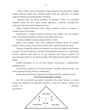 Konferencijos organizavimo etapai 6 puslapis