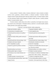 Konferencijos organizavimo etapai 7 puslapis