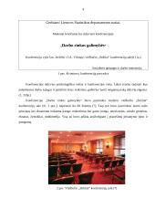 Konferencijos organizavimas: "Darbo rinkos galimybės" 9 puslapis