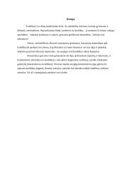 Konfliktai organizacijoje