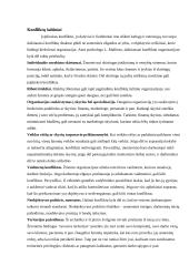 Konfliktai organizacijoje 3 puslapis