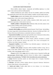 Konfliktų organizacijoje valdymas 9 puslapis