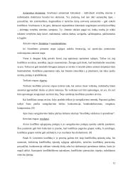 Konfliktų sprendimo organizacijoje etika 12 puslapis
