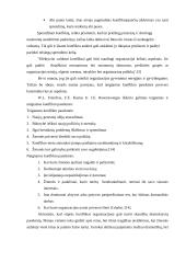 Konfliktų vadyba 13 puslapis