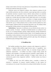 Konfliktų ypatumai ir valdymas organizacijoje 7 puslapis