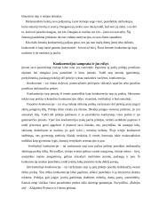 Konkurencija – visai neblogas dalykas 3 puslapis