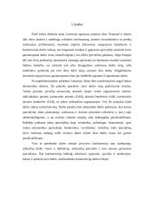 Konkurencija darbo rinkoje 3 puslapis