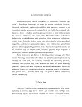 Konkurencija darbo rinkoje 4 puslapis