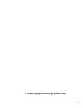 Konkurencijos politika Europos Sąjungoje (ES) 13 puslapis