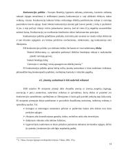 Konkurencijos politika Europos Sąjungoje (ES) 14 puslapis