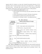 Konkurencijos politika Europos Sąjungoje (ES) 8 puslapis