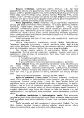 Konkurencinė aplinka 11 puslapis